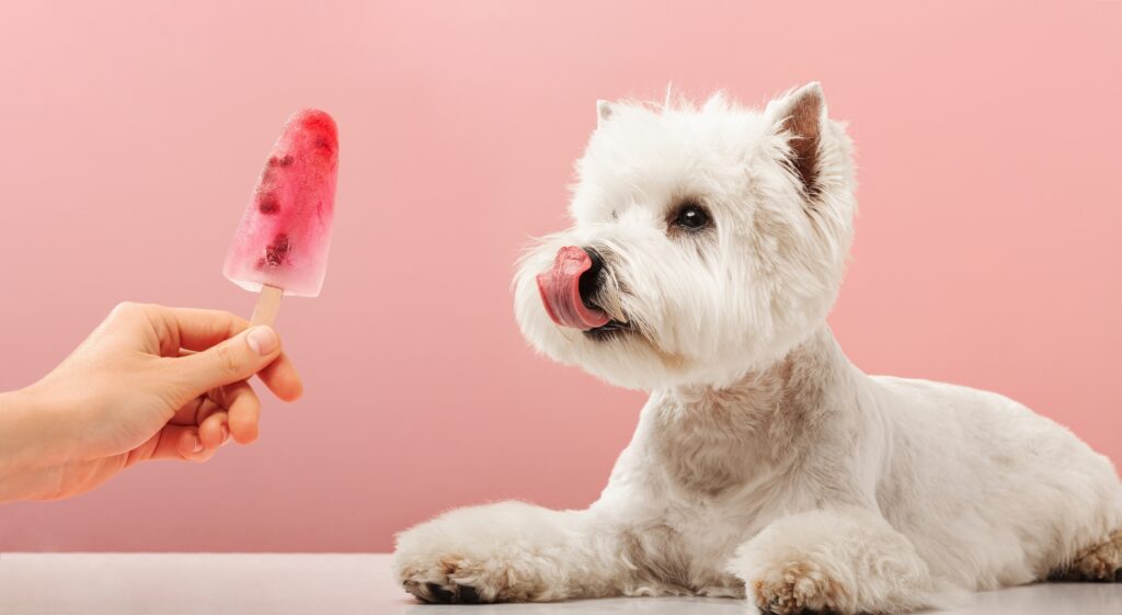 Dog&Lolly_DenisZav_shutterstock_2166277411