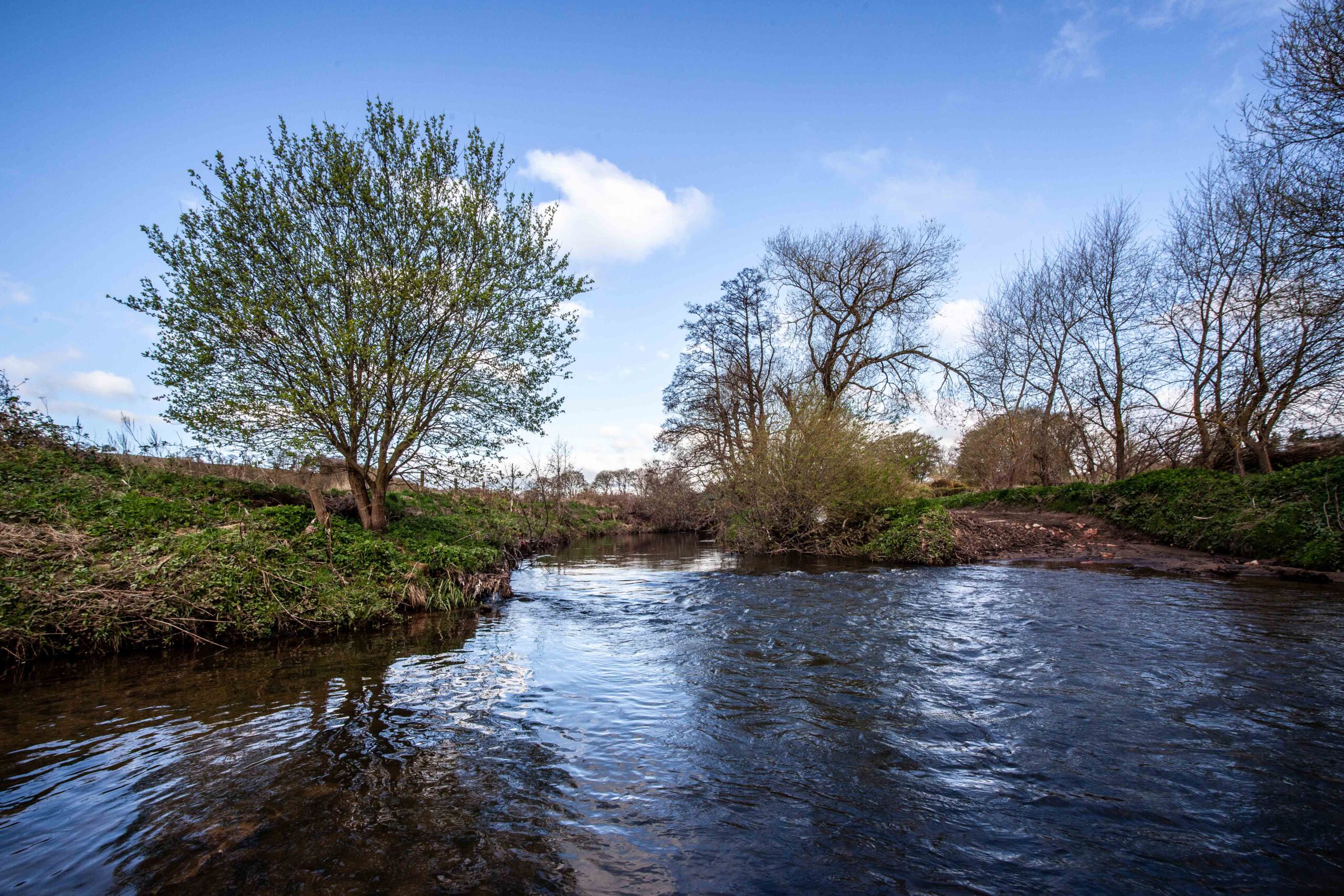 River Browney smaller