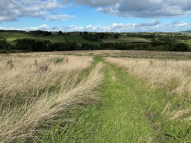 The restored Bradley surface mine site near Leadgate in County Durham