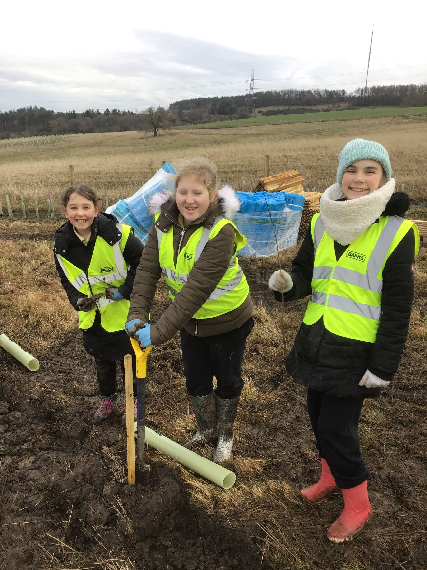 Children from St Patrick's Primary School in Dipton planting trees at the Bradley site