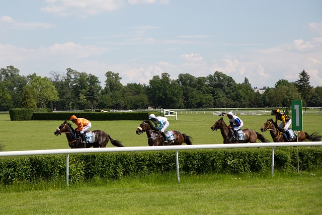 horse racing photo