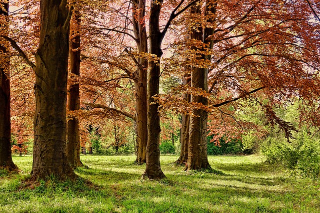 preston park photo