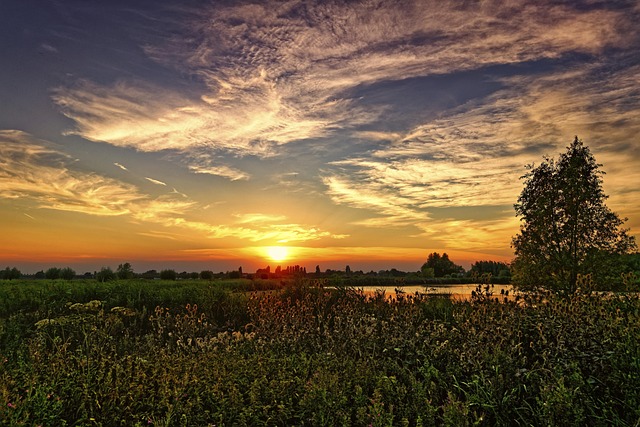 heat wave photo