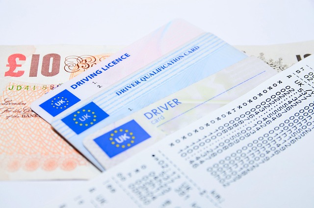 driving licence photo