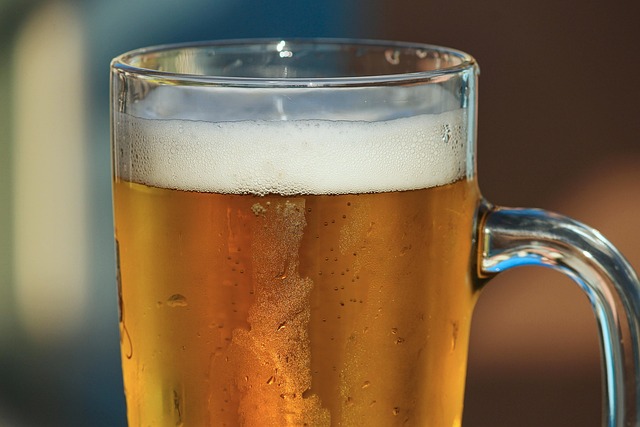 beer photo