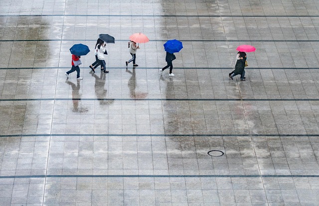 rain photo