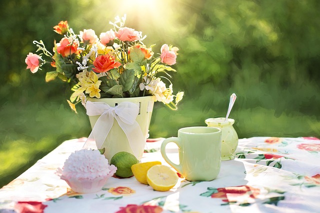 picnic  photo