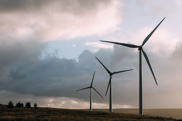wind photo