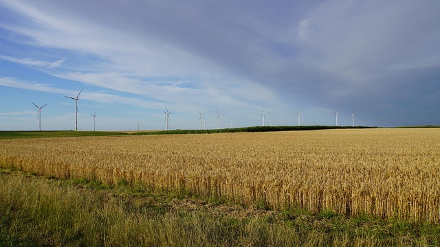 heatwave photo
