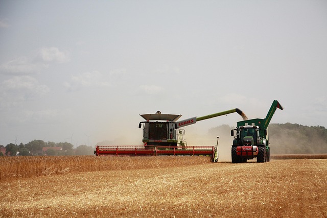 sunny farm photo
