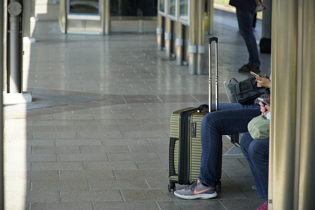 Traveller photo